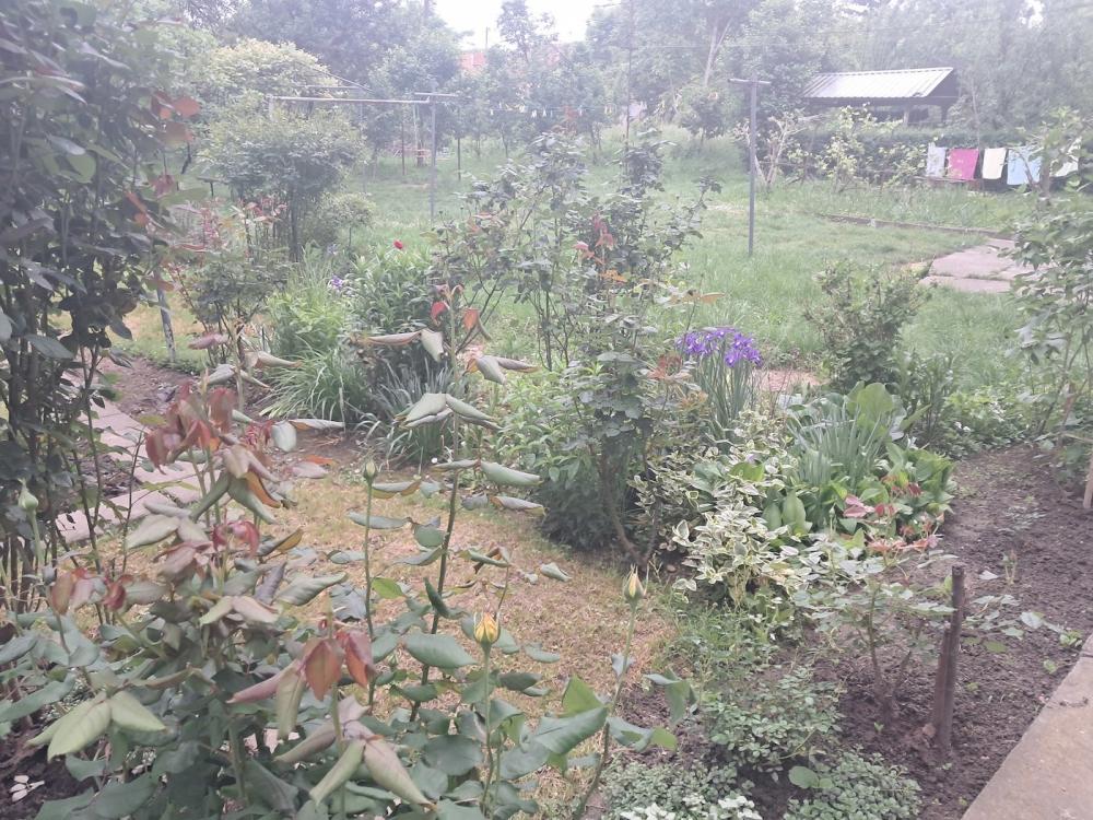 Stan na prodaju u Beogradu, Zemun polje, dvosoban, 45m2, cena 76000 evra