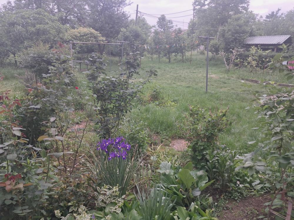 Stan na prodaju u Beogradu, Zemun polje, dvosoban, 45m2, cena 76000 evra