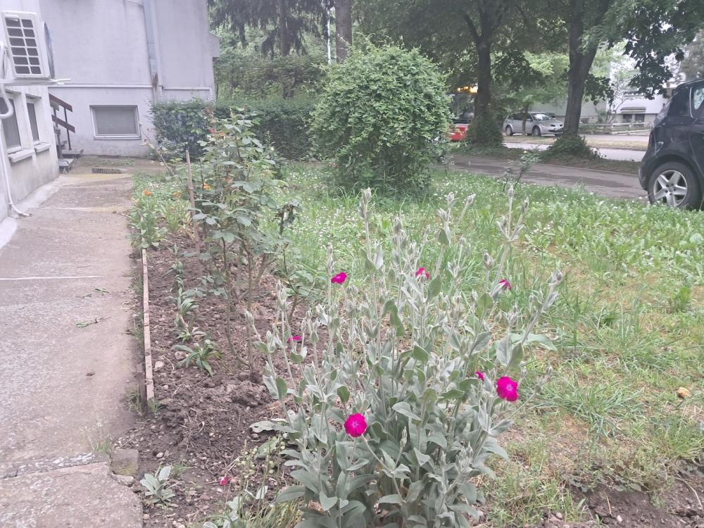 Stan na prodaju u Beogradu, Zemun polje, dvosoban, 45m2, cena 69500 evra