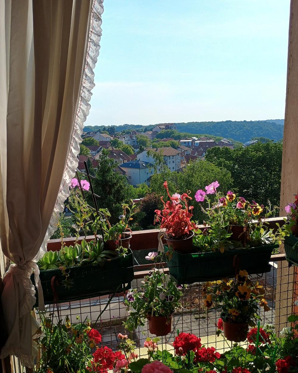 Stan na prodaju u Beogradu, Banjica, cetvorosoban, 84m2, cena 209000 evra