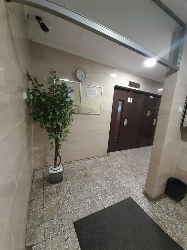 Stan na prodaju u Beogradu, Lion, jednosoban, 30m2, cena 155000 evra