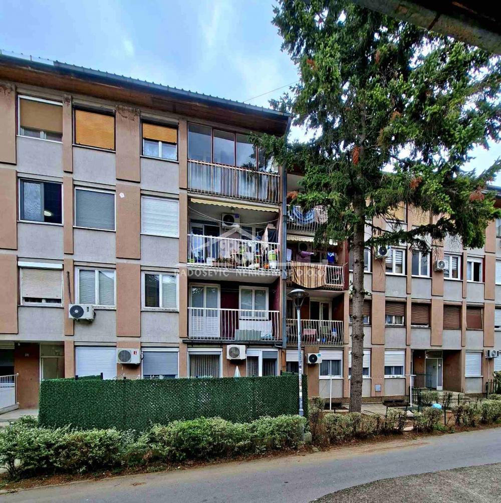 glavna slika oglasa