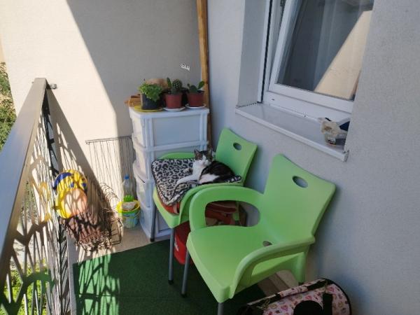Stan na prodaju u Beogradu, Zvezdara, dvosoban, 34m2, cena 95000 evra
