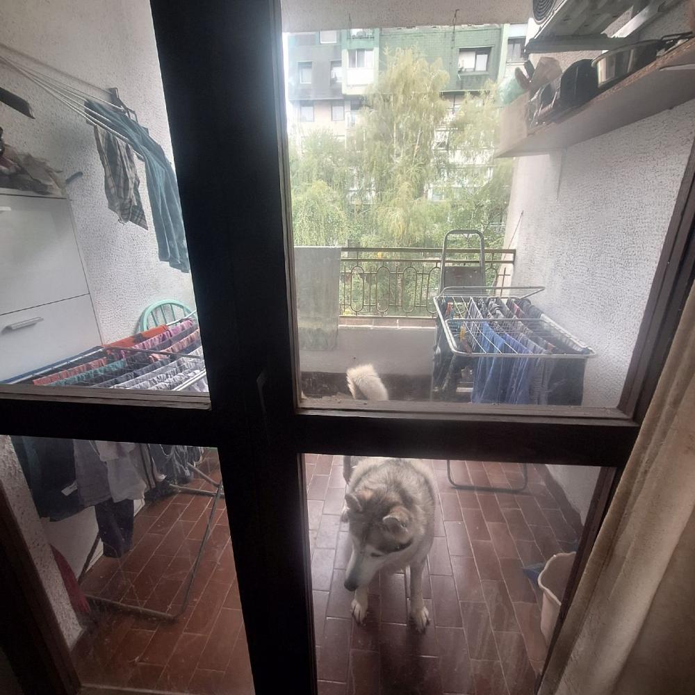 Stan na prodaju u Beogradu, Čukarica, dvosoban, 62m2, cena 180000 evra