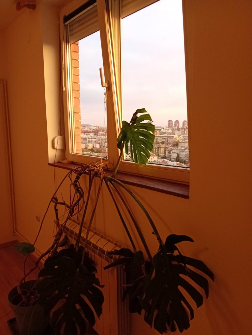 Stan na prodaju u Beogradu, Vukov spomenik, troiposoban, 87m2
