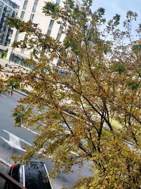 Stan na prodaju u Beogradu, Palata pravde, cetvorosoban, 99m2, cena 400000 evra