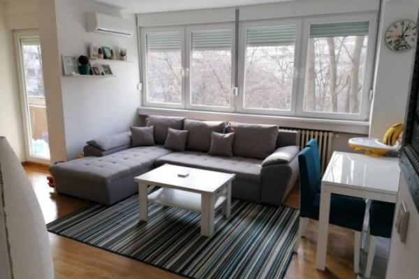 Stan na prodaju u Beogradu, Novi Beograd,Novi Beograd blok 31 (Merkator), dvosoban, 60m2, cena 250000 evra