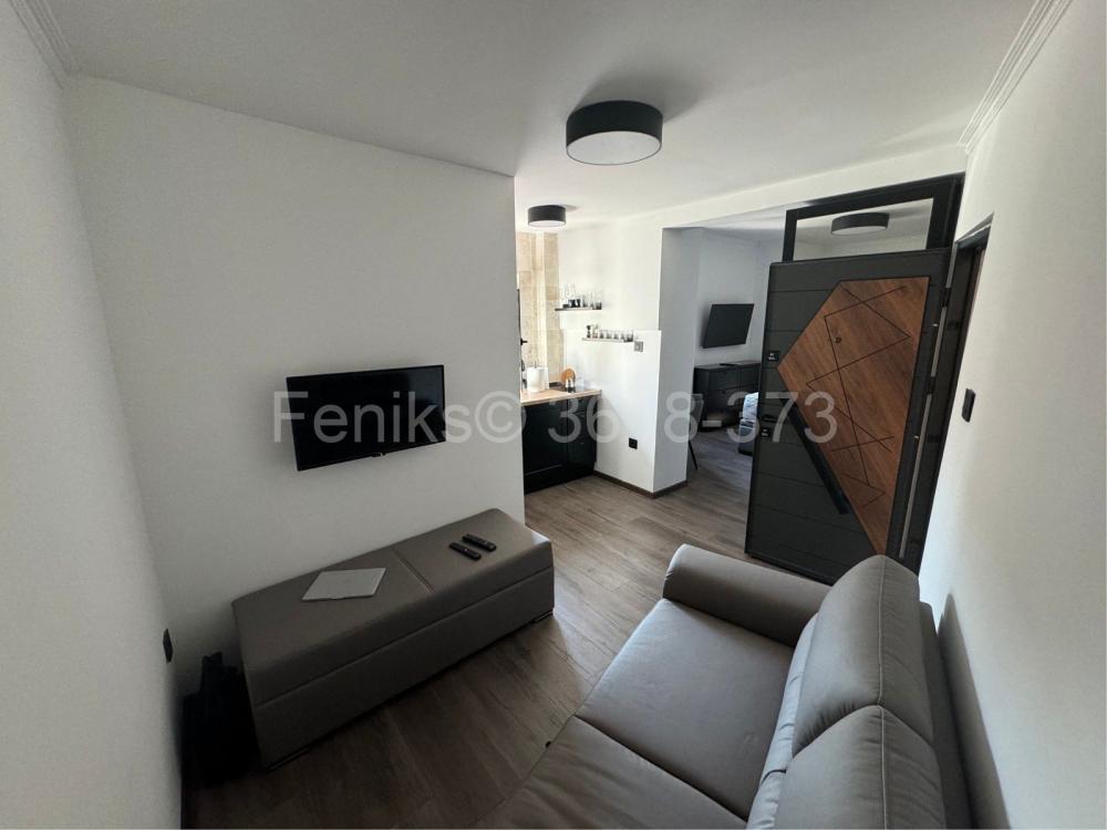 Stan na prodaju u Beogradu, Beograd (Skupština), jednoiposoban, 30m2, cena 160000 evra