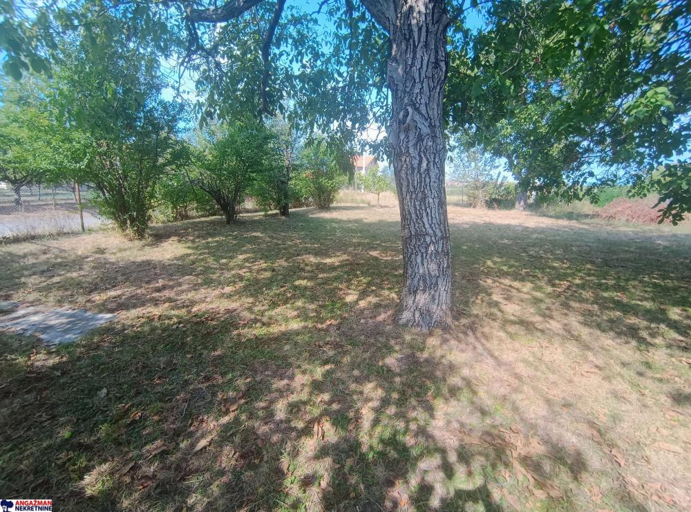 Glavna slika oglasa 270934