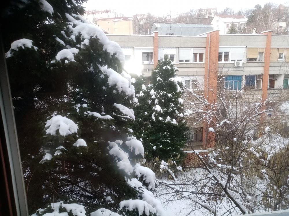 Stan na prodaju u Beogradu, Rakovica, 23m2, cena 300 evra