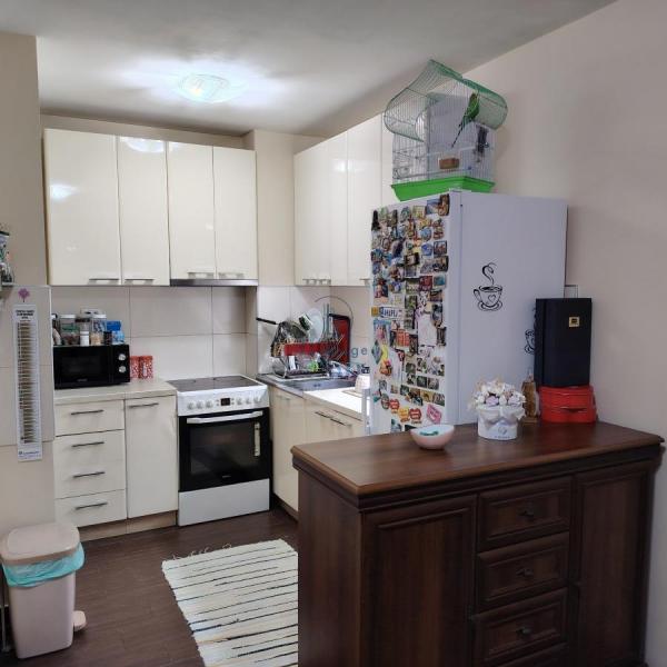 Stan na prodaju u Beogradu, Naselje Stepa Stepanović, jednoiposoban, 46m2, cena 145000 evra