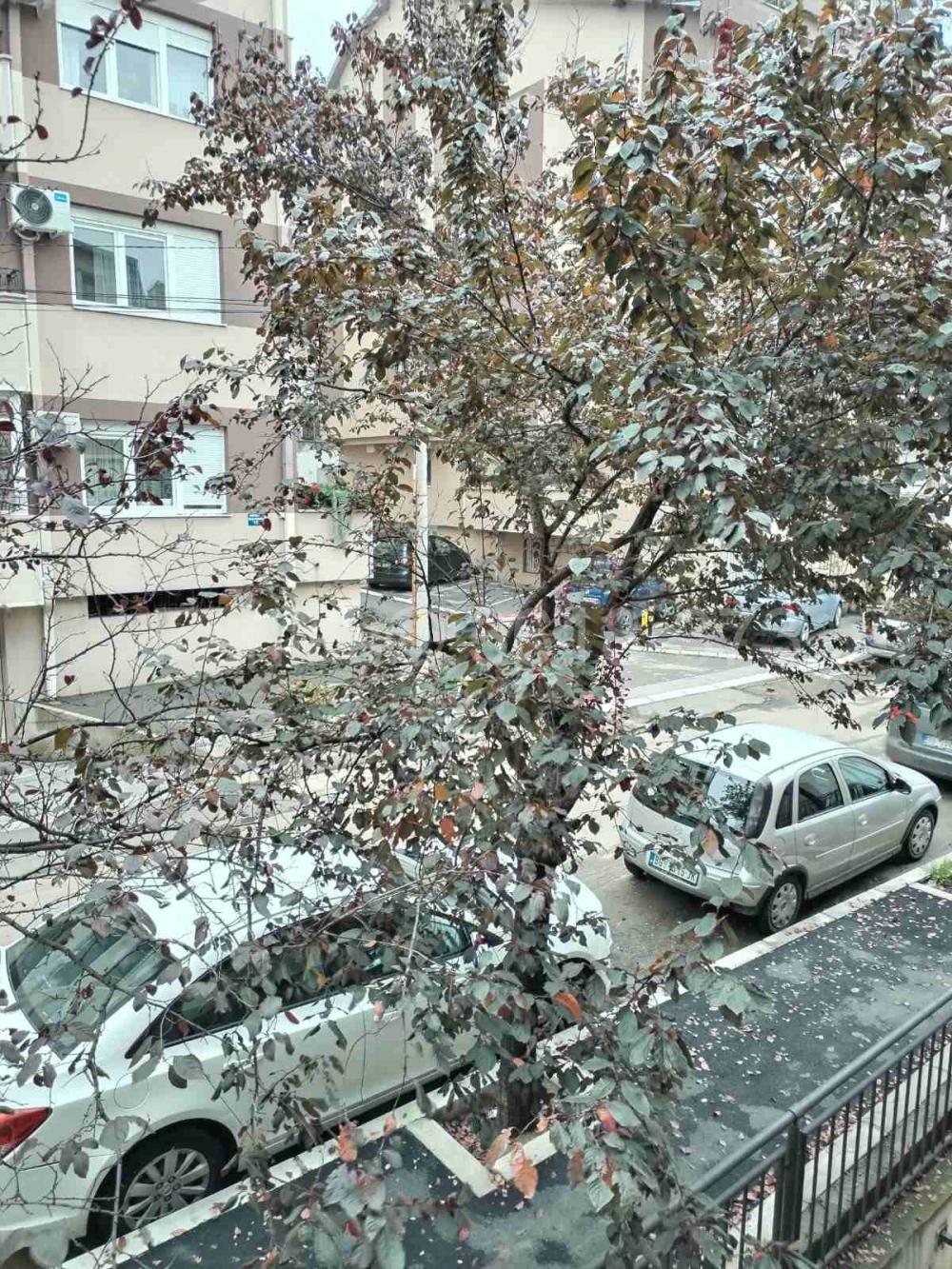 Stan na prodaju u Beogradu, Vojvode Vlahovića, dvosoban, 50m2, cena 135000 evra