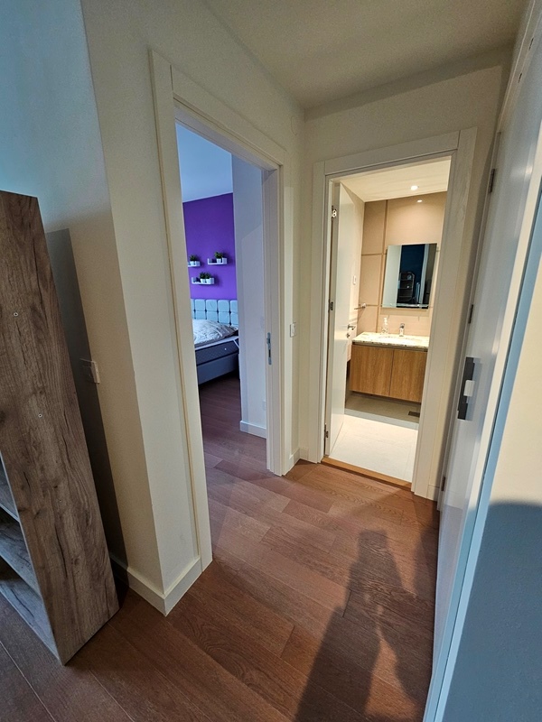 Stan na prodaju u Beogradu, Beograd na vodi, dvosoban, 58m2, cena 300000 evra