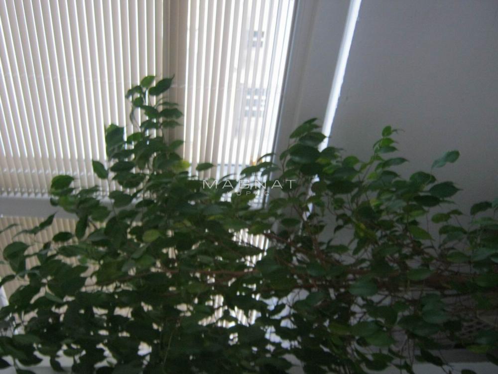 Glavna slika oglasa 272002