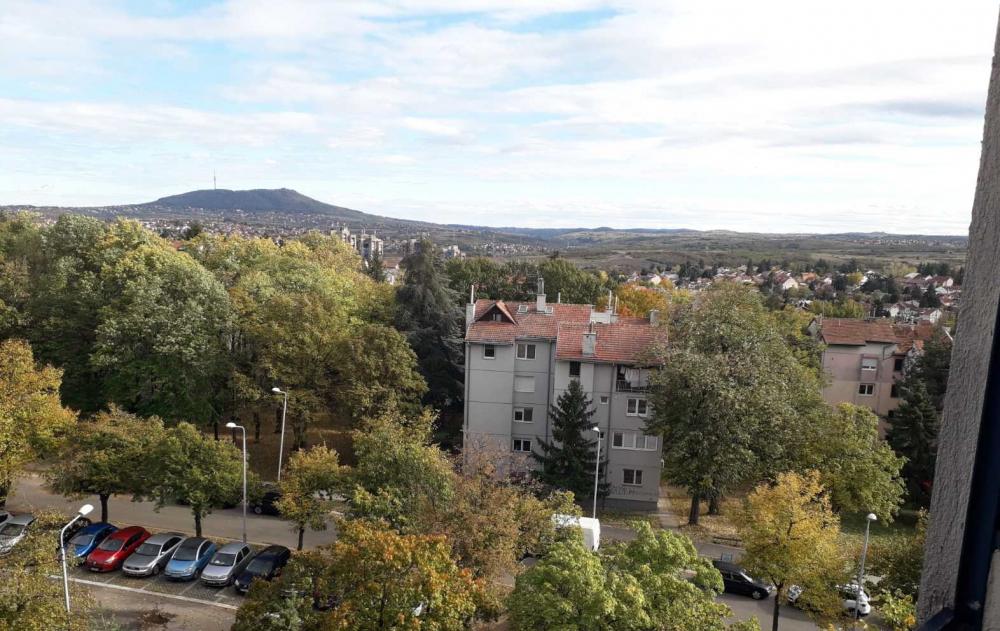 Glavna slika oglasa 272691