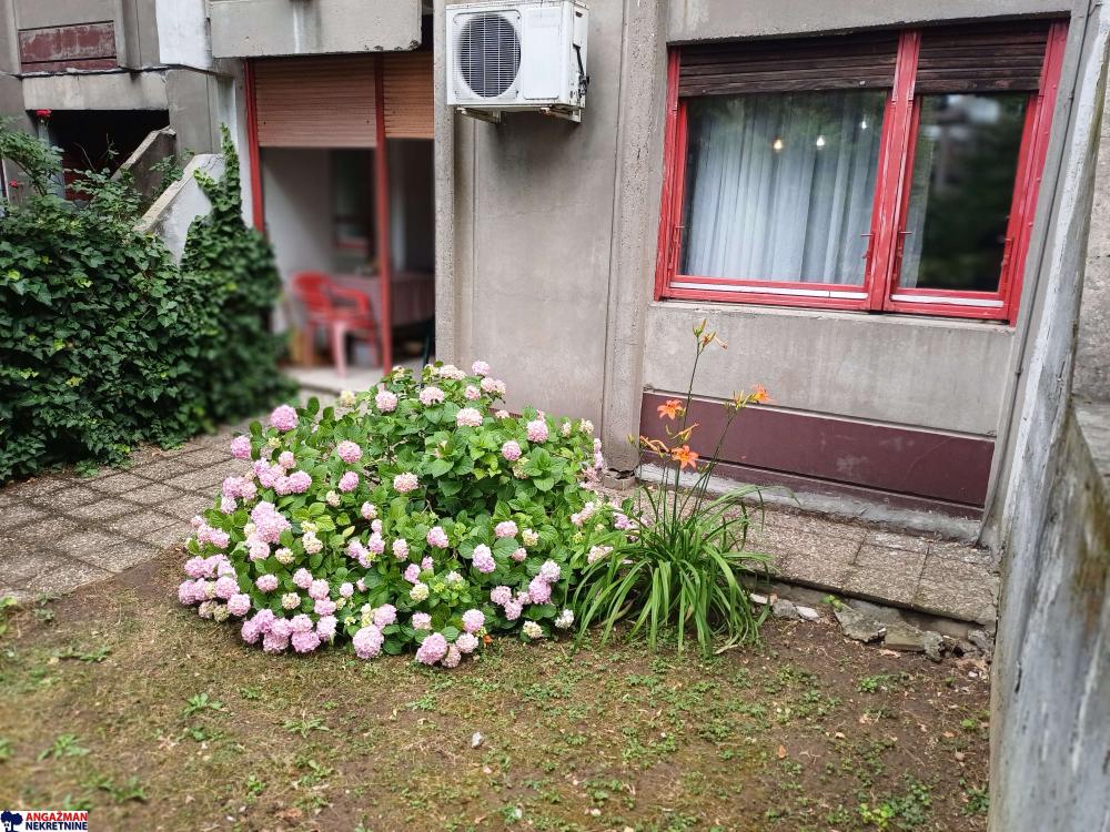 Stan na prodaju u Beogradu, Banjica, dvosoban, 50m2, cena 179000 evra