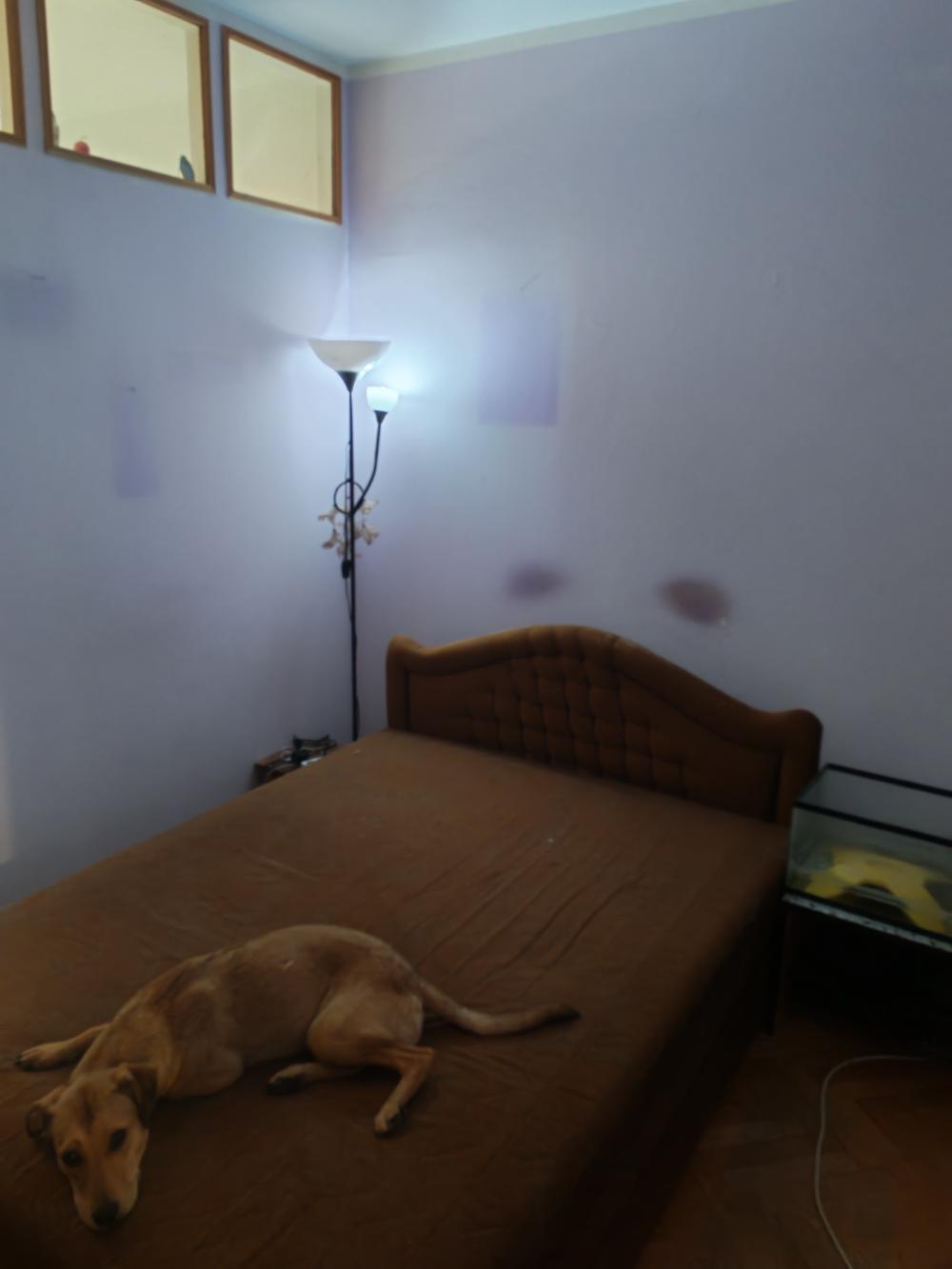 Stan na prodaju u Beogradu, Karaburma 2, jednoiposoban, 52m2, cena 130000 evra