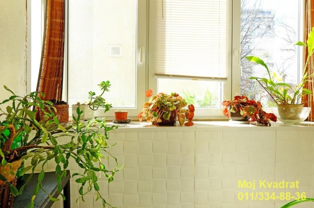 Stan na prodaju u Beogradu, Južni bulevar, dvoiposoban, 65m2, cena 235000 evra
