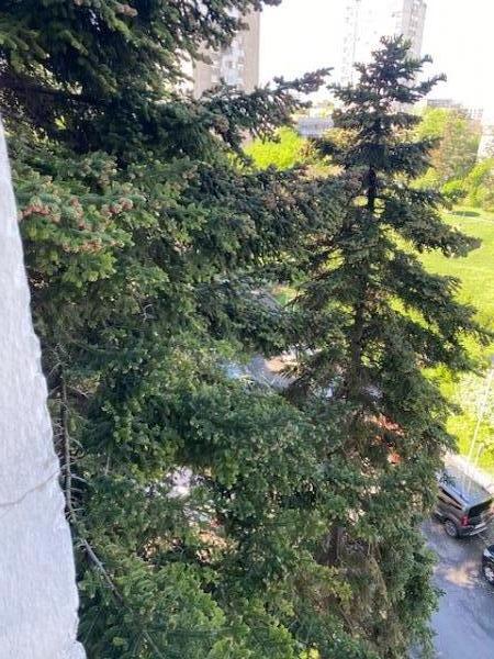 Stan na prodaju u Beogradu, Zvezdara, cetvorosoban, 104m2, cena 348000 evra