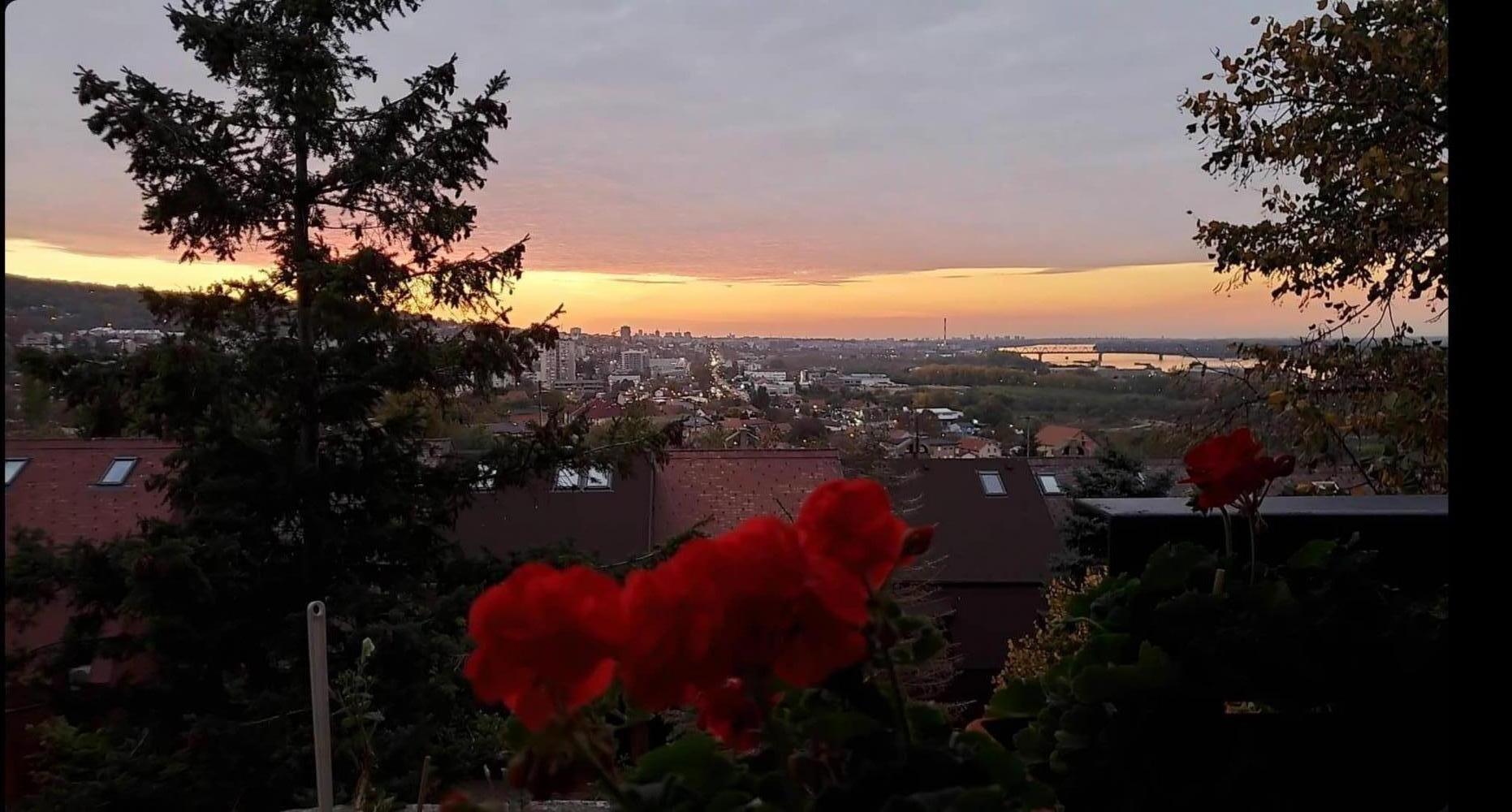 glavna slika oglasa